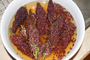 Making Sumacade with Stag Horn Sumac